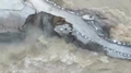 Daños causados por la liberación de agua en Hidroituango