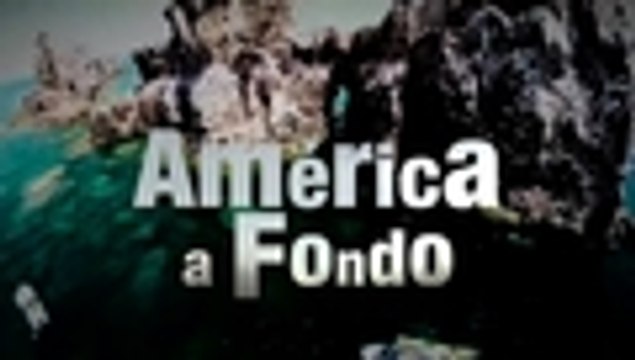 En video: la crisis económica de Venezuela ha llevado al sistema de salud a 'cuidados intensivos'