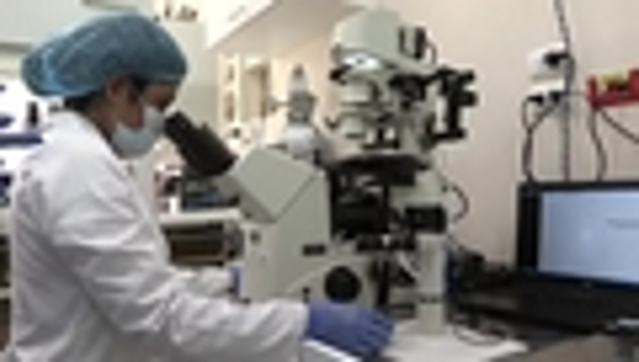 Clonar alpacas, la próxima meta de una universidad en Lima, Perú