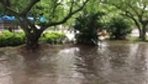 Inundación en el oeste por causa de las lluvias