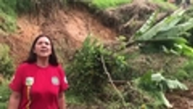 Tres viviendas resultaron afectadas en Felidia tras caída de árbol