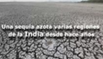 En video: así padecen en India la peor sequía en los últimos años