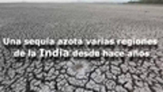 En video: así padecen en India la peor sequía en los últimos años
