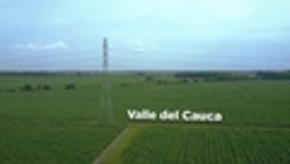 Campaña Comunicativa Regional Valle con Sentido