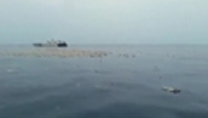 En video: este es el lugar donde se adelanta la búsqueda de avión estrellado en Indonesia