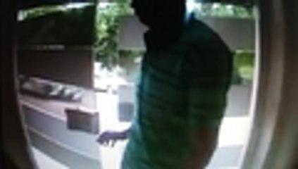 Así operaba la banda delincuencial 'Chicken'