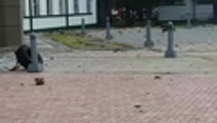 Carro bomba detona en Bogotá