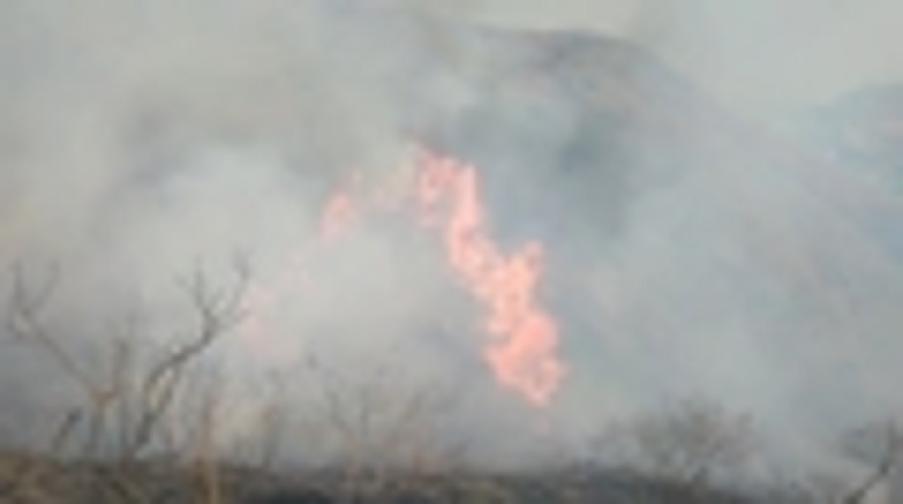 WhatsApp Video 2019-02-02 at 4.58.09 PM.mp4