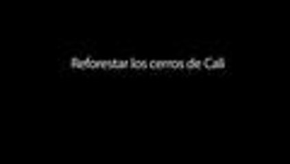 Reforestar los cerros de Cali, un proyecto de la CVC