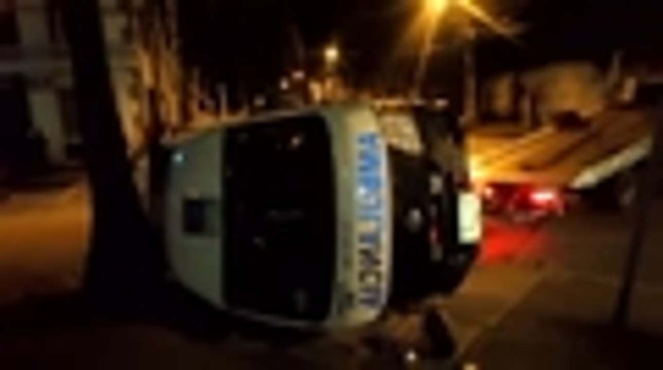 Qhubo-WhatsApp Video 2019-03-01 at 4.36.53 AM (1).mp4