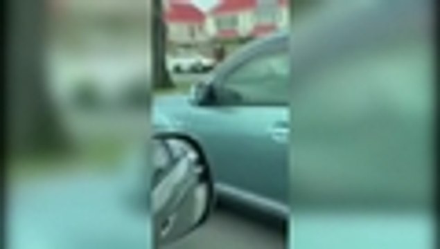 Video el momento de la captura a presuntos autores de ataque a mezquitas de Nueva Zelanda