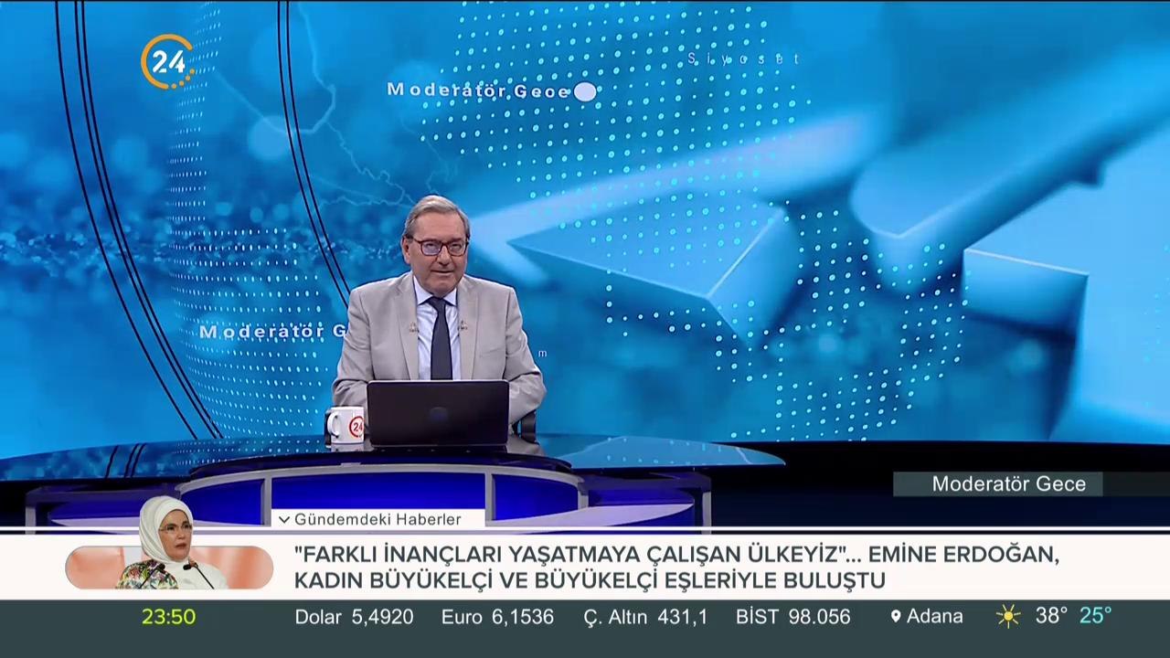 Van kedisi 10 yavru doğurdu