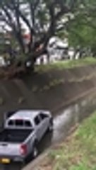 Conductor perdió el control de su vehículo y terminó en un canal de agua lluvia en Cali