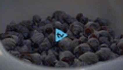 La red de pesca responsable que une a los chefs de Cali con pescadores del Pacífico