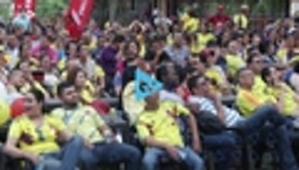 Así vivieron los caleños el triunfo de Colombia 1 - 0 sobre Catar