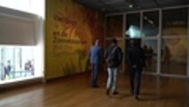 Exhibición en Ámsterdam explora la misteriosa fijación de Van Gogh por los girasoles