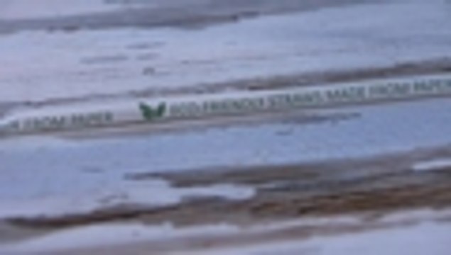 Washington prohíbe el uso y distribución de pitillos de plástico