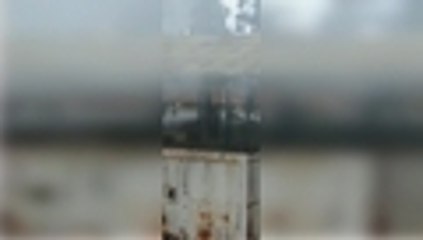 Qhubo-de2b1c78-8cad-4126-b756-8a50e44b65e2-hd-web.mp4