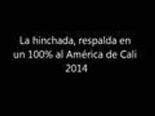 “América de Cali está aterrizado”: Luis Sierra