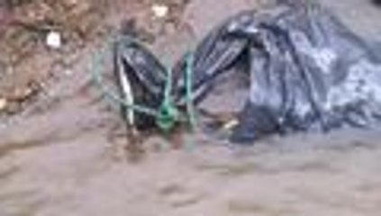 Video: autoridades encuentran cadáver en el río Cali