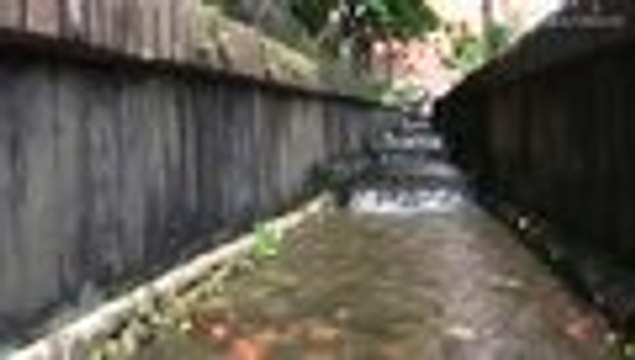 Especial maestrías y postgrados-HD Youtube El Pais