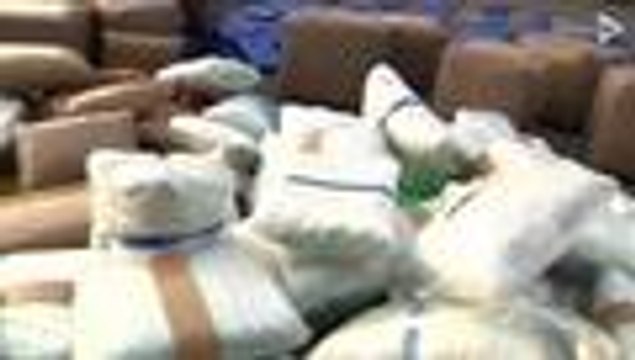 Video: 873 kilos de marihuana fueron decomisados en vía Cali-Buga