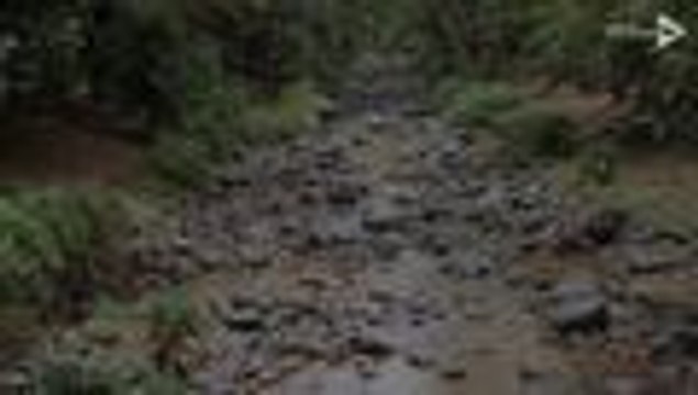 ¬øC√≥mo disfrutan los cale√±os el r√≠o Cali?