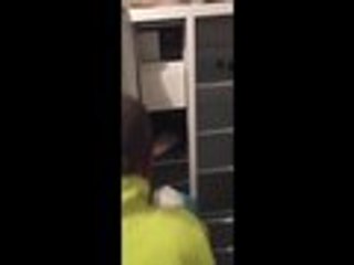 Captura de falsificadores de licencias de tránsito