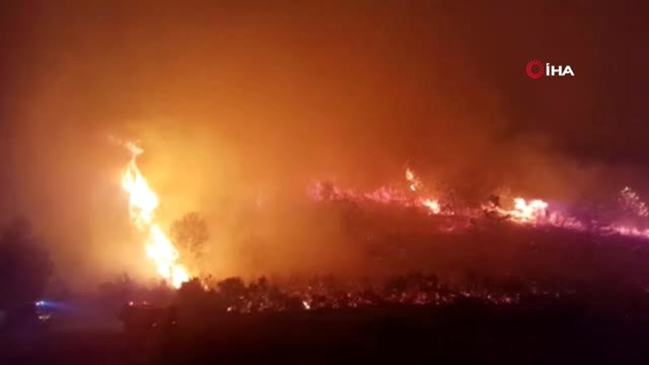Antalya'da orman yangını