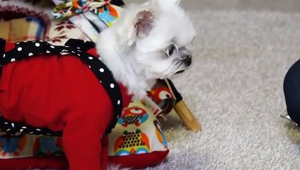 문막출장안마 -후불100%ョØ7ØM7575M0054｛카톡USA16｝ 문막전지역출장안마 문막오피걸 문막출장마사지 문막출장안마 문막출장마사지 문막출장콜걸샵안마 문막출장아로마 ぅ⺛◨