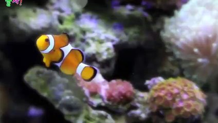 증평출장안마 -후불100%ョØ1ØZ7467Z4367｛카톡RQ43｝ 증평전지역출장안마 증평오피걸 증평출장마사지 증평출장안마 증평출장마사지 증평출장콜걸샵안마 증평출장아로마 ぇ≏け