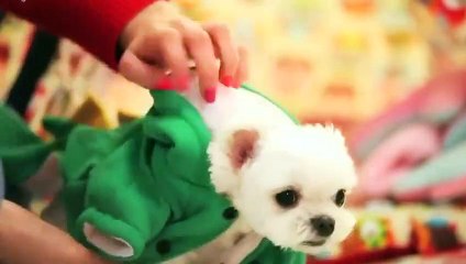 동작출장안마 -후불100%ョOiON6622N4421｛카톡EM85｝ 동작전지역출장안마 동작오피걸 동작출장마사지 동작출장안마 동작출장마사지 동작출장콜걸샵안마 동작출장아로마 ㍐⾭⻩