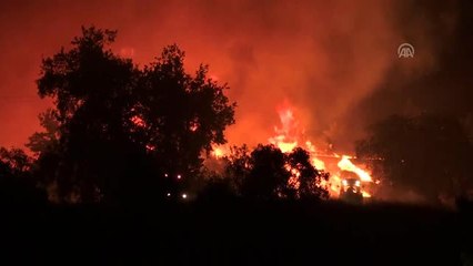 Manavgat'ta orman yangını (3)