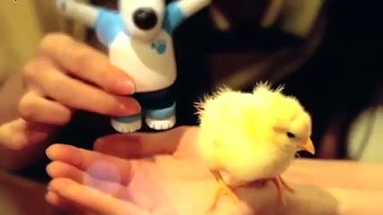 진도출장안마 -후불100%ョØ7ØM7575M0069｛카톡CC6969｝ 진도전지역출장안마 진도오피걸 진도출장마사지 진도출장안마 진도출장마사지 진도출장콜걸샵안마 진도출장아로마 ㌶た㍓