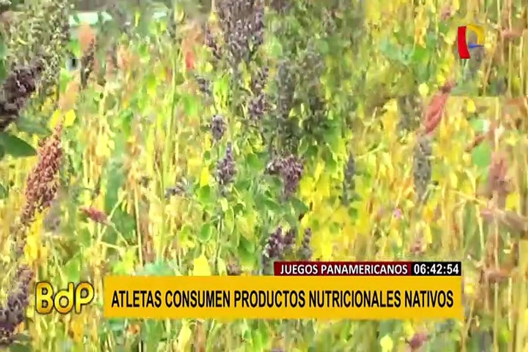 Promocionan productos nativos para nutrición de deportistas de Lima 2019