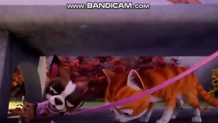 토토솔루션임대, 토토솔루션분양, BK토토솔루션