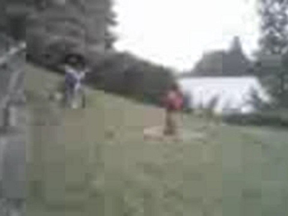 Jackass_velo