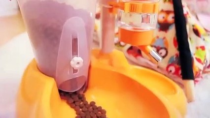 천안출장안마 -후불100%ョOiOE7685E6221｛카톡LTE16｝ 천안전지역출장안마 천안오피걸 천안출장마사지 천안안마 천안출장마사지 천안콜걸샵㌞≟∗