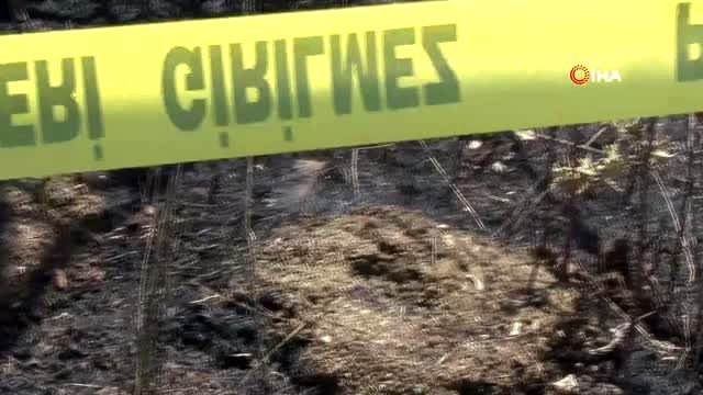 Büyükçekmece'de elektrik direğine çıkan şahıs akıma kapılarak ağır yaralandı