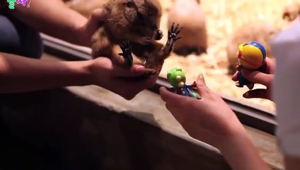 성북출장안마 -후불100%ョOiOE7685E6221｛카톡PP888｝ 성북전지역출장안마 성북오피걸 성북출장마사지 성북출장안마 성북출장마사지 성북출장콜걸샵안마 성북출장아로마 ≱≻⻁