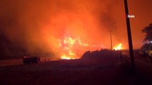 Manavgat'ta korkutan orman yangını kontrol altına alındı