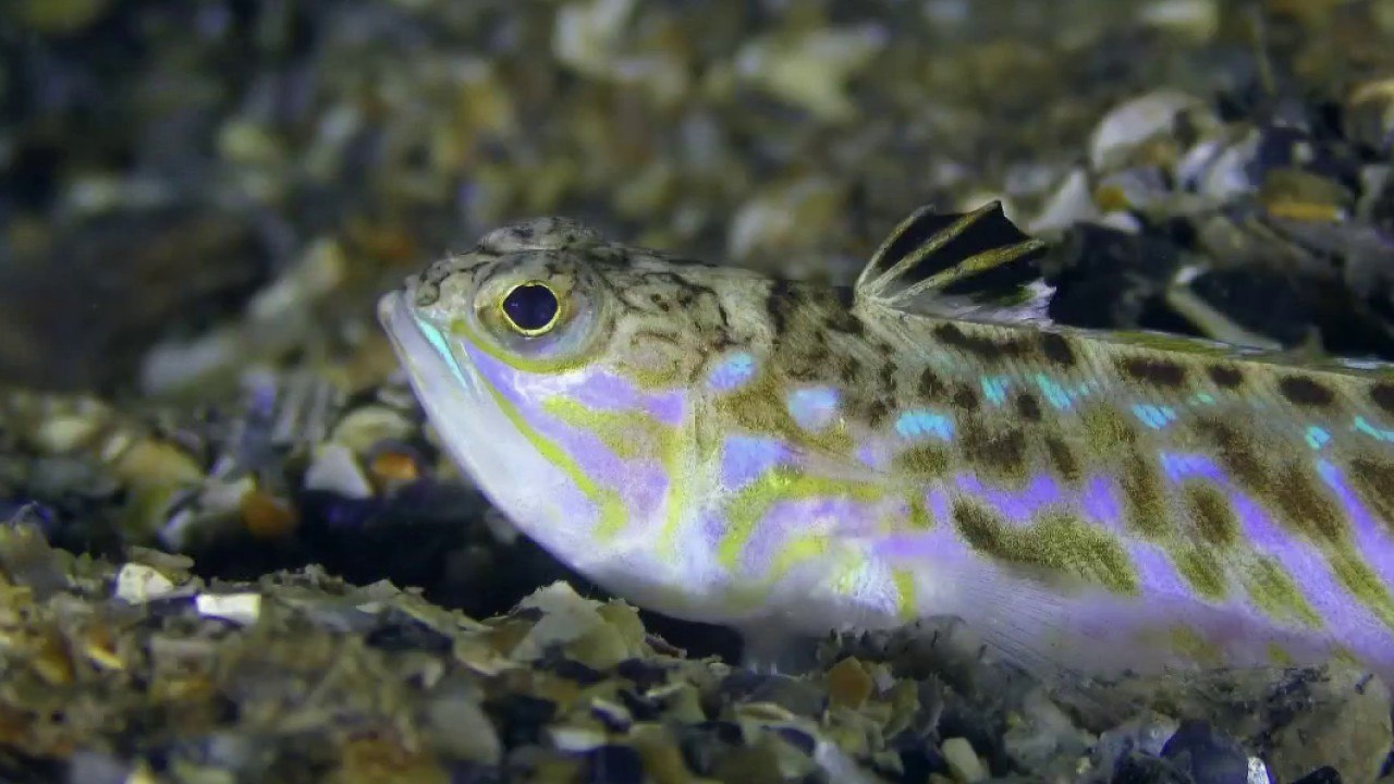 Santé - Piqures et morsures : les gestes à adopter