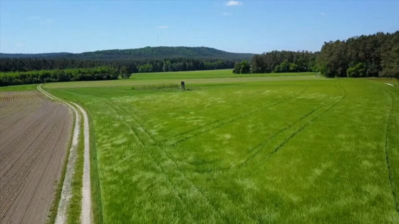 Νέα έκθεση του ΟΗΕ: Τι μπορείς να κάνεις εσύ για το κλίμα