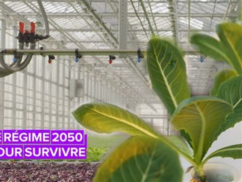 Le régime de 2050