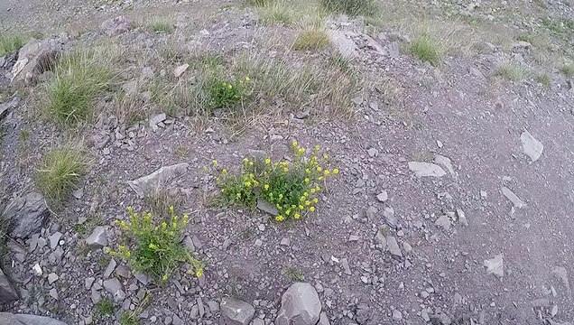 La tyrolienne d’Orcières, entre envolée et découverte du territoire haut-alpin