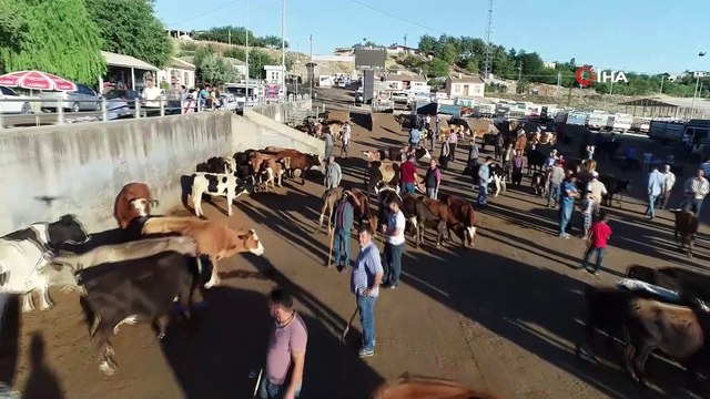 Diyarbakır’da kurbanlık hareketliliği başladı...Kurban pazarı havadan görüntülendi