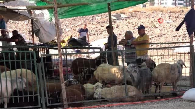 Bayrama kısa süre kala hayvan pazarında durgunluk yaşanıyor