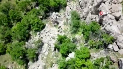 Çukurca'da 2 terörist etkisiz hale getirildi