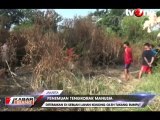 Heboh Penemuan Tulang Belulang Manusia di Lahan Kosong