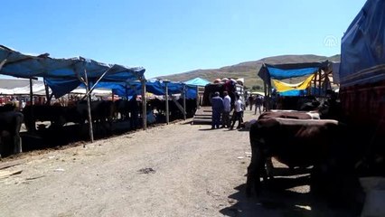 "Herkül"ü otomobille takas edecek